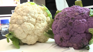 Cauliflower DNA